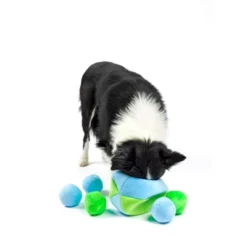 Midlee Hide A Ball Dog Toy - Blue/Green -PawHut || Nylabone || Northlight Gifts Shop GUEST b74da308 1b32 4abc bbe2 85060e981db5