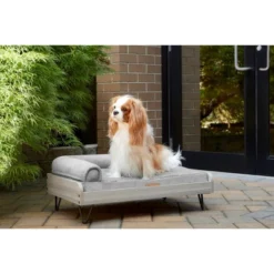 TailZzz Asher Wooden Pet Bed With Mattress Elevated Pet Bed Greenguard Gold Certified Wooden Pet Bed 18 TailZzz Asher Wooden Pet Bed With Mattress Elevated Pet Bed Greenguard Gold Certified Wooden Pet Bed -PawHut || Nylabone || Northlight Gifts Shop GUEST b7543a0f c553 4499 8803 3554d201537e