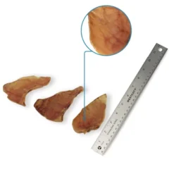 Gigabyte GigaBite All Natural Whole Pig Ears Treats For Dogs -PawHut || Nylabone || Northlight Gifts Shop GUEST bade7771 690e 4363 8aee 55785546f60e