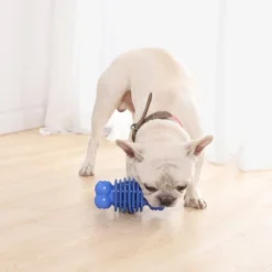 PetMedics Soothing & Wellness Durable Chew Aid With Fun & Calming Sounds For Medium, Large, Moderate And Tough Chewing Dogs -PawHut || Nylabone || Northlight Gifts Shop GUEST c2091640 7e33 4b17 a821 4ca1790739ac