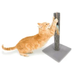 SmartyKat Simply Scratch Cat Scratching Post With Feather & Ribbon Toy -PawHut || Nylabone || Northlight Gifts Shop GUEST c209f890 520d 47ee a8e0 c0f01bedba02