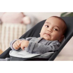 BabyBjorn Balance Soft Cotton Bouncer - Gray -PawHut || Nylabone || Northlight Gifts Shop GUEST c3542dda b467 4c7b 9b66 eaba65c92330