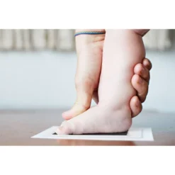 Pearhead Gingham Baby Memory Book -PawHut || Nylabone || Northlight Gifts Shop GUEST d234715e 444b 4c3e 9395 9e17f6cc1a42