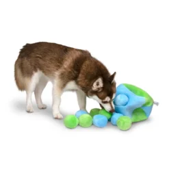 Midlee Hide A Ball Dog Toy - Blue/Green -PawHut || Nylabone || Northlight Gifts Shop GUEST d4234cab 04cd 4a6c 98c7 bbbd35fe80ba