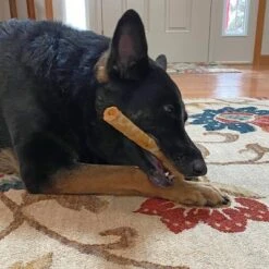 Fieldcrest Farms Nothin' To Hide Beef Roll Bag Dog Treats - 10" - Large - 6.38oz/2pk -PawHut || Nylabone || Northlight Gifts Shop GUEST d7dd9885 97ee 4c41 9e39 981a07232fdf