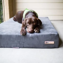 Big Barker 7" Orthopedic Dog Bed - Sleek Edition -PawHut || Nylabone || Northlight Gifts Shop GUEST dce64019 ee66 4588 baae 377181638871