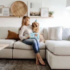 ZippyPaws Display Birthday Box Dog Toy - 3pk -PawHut || Nylabone || Northlight Gifts Shop GUEST e1e2b514 289f 49c9 98fe bec1ee401602