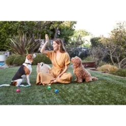 Full Moon Chicken Jerky Hip & Joint Dog Treats 8 Full Moon Chicken Jerky Hip & Joint Dog Treats -PawHut || Nylabone || Northlight Gifts Shop GUEST e3252f27 f8a9 42e3 86c1 824a8fb9a782