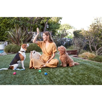 Full Moon Chicken Jerky Hip & Joint Dog Treats 4 Full Moon Chicken Jerky Hip & Joint Dog Treats - Image 2