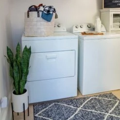 Baby Einstein Sky Explorers Baby Walker With Wheels And Activity Center -PawHut || Nylabone || Northlight Gifts Shop GUEST e7422a54 13d4 484b 94cc e3ce84fee31a