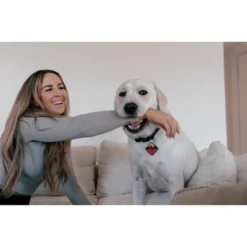 QALO TraQ Powered By Tile Dog And Cat Silicone Bluetooth Trackable Pet ID Tag - Red -PawHut || Nylabone || Northlight Gifts Shop GUEST ebc28628 73f3 45b6 bfdb 08adf040c8a2