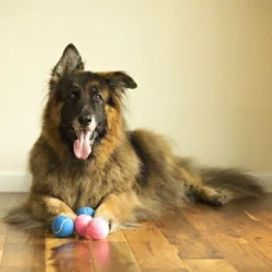 Midlee Happy Birthday Dog Tennis Balls (6 Pack) (Regular, Pink)