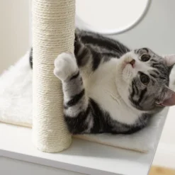 Sam's Pets Sheree 50" White Cat Tree -PawHut || Nylabone || Northlight Gifts Shop GUEST ed23a3c7 af9a 4d17 a40d fd5c156b7f61