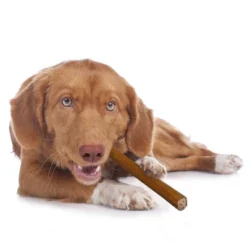 Cadet Bully With Beef Hide Sticks Dog Treat - L - 7.10oz/5ct -PawHut || Nylabone || Northlight Gifts Shop GUEST eeb3e1b7 2412 406e b8ee aa2850d1db15