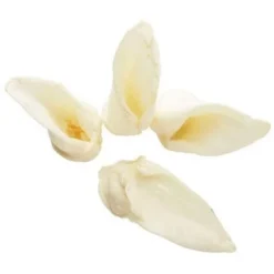 Pawstruck Lamb Ears For Dogs - Natural Bulk Dog Dental Treats & Sheep Chews, Smoked & Low Fat, Pet Products -PawHut || Nylabone || Northlight Gifts Shop GUEST ef58fb00 5958 41f8 9ab2 84518611a06c