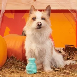 BARK Halloween Super Chewer Knock 'Em Dead Dog Toy 9 BARK Halloween Super Chewer Knock 'Em Dead Dog Toy -PawHut || Nylabone || Northlight Gifts Shop GUEST f3906c1e 63c5 4eb2 92e1 85d865ff9b50