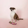 PetShop By Fringe Studio Pink Champagne Durable Plush Dog Toy 2 PetShop By Fringe Studio Pink Champagne Durable Plush Dog Toy -PawHut || Nylabone || Northlight Gifts Shop GUEST fc78cbe2 d9e8 41c9 b6b4 c712b30788d3